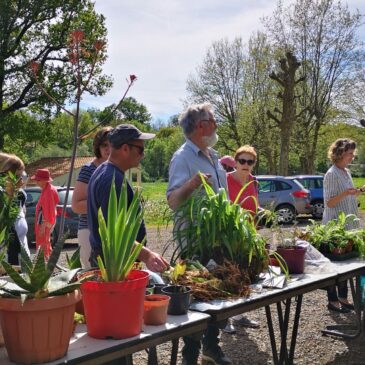 Echange de plantes et de livres le samedi 13 avril