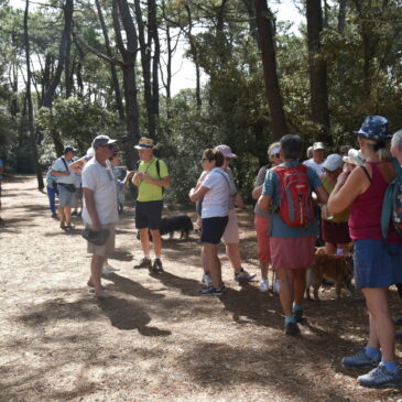 Sunday 14th June: Ramble and picnic